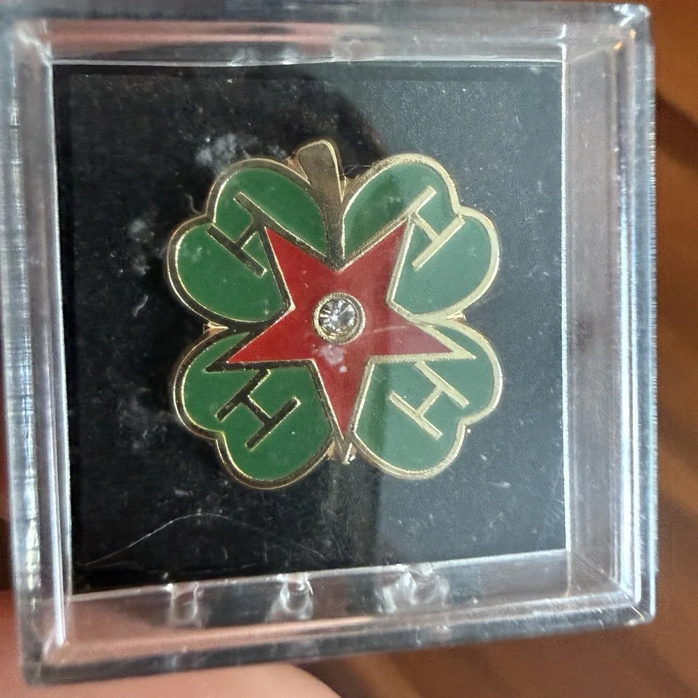 Vintage Lapel Pin Lot 4-H All Star Kiwanis Ruby K Exchange Club American Flag